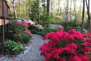 9906 Oak Hollow Rd, Chapel Hill, NC 27516 - Photo 53