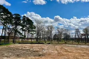 786 Olive Br Dr, Smithfield, NC 27577 - Photo 7