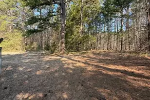 3629 Plantation Rd, Bullock, NC 27507 - Photo 5