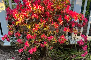 2103 Woodsdale Dr, Durham, NC 27703 - Photo 45