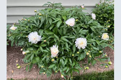 2103 Woodsdale Drive, Durham, NC 27703 - Photo 43