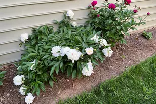 2103 Woodsdale Dr, Durham, NC 27703 - Photo 47