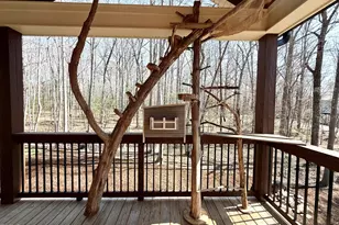 6450 Moores Mill Rd, Rougemont, NC 27572 - Photo 19