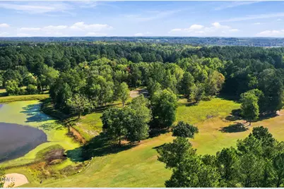 54 Caswell Pines Clubhouse Drive, Blanch, NC 27212 - Photo 9