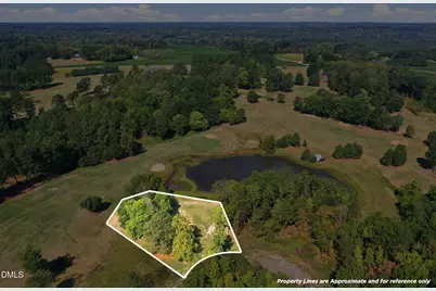 54 Caswell Pines Clubhouse Drive, Blanch, NC 27212 - Photo 5