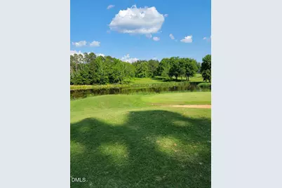 54 Caswell Pines Clubhouse Drive, Blanch, NC 27212 - Photo 3