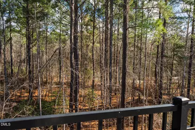 194 Wendover Parkway, Pittsboro, NC 27312 - Photo 37