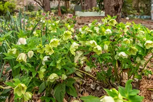 407 Waterside Dr, Carrboro, NC 27510 - Photo 23