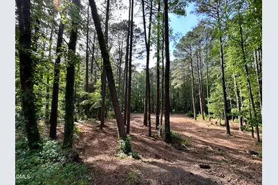 1123 Wake Robin Lane, Cary, NC 27519 - Photo 3