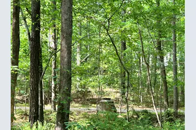 1123 Wake Robin Lane, Cary, NC 27519 - Photo 9