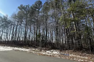 0 Pierce Denny Rd, Liberty, NC 27298 - Photo 1