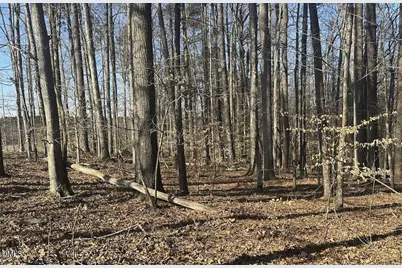 0 Pierce Denny Road, Liberty, NC 27298 - Photo 5