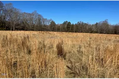 512 Bacon Road, Rougemont, NC 27572 - Photo 1