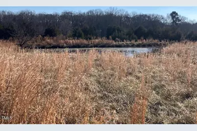 512 Bacon Road, Rougemont, NC 27572 - Photo 3