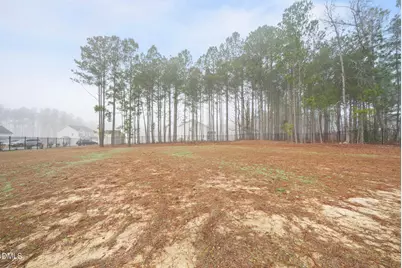 304 Beacon Hill Road, Lillington, NC 27546 - Photo 31