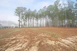 304 Beacon Hl Rd, Lillington, NC 27546 - Photo 31