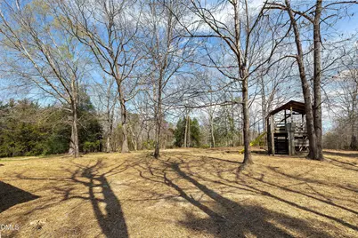 113 Pineview Drive, Louisburg, NC 27549 - Photo 43