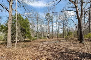 113 Pineview Dr, Louisburg, NC 27549 - Photo 43