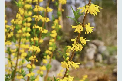 798 Horizon Drive, Pittsboro, NC 27312 - Photo 49