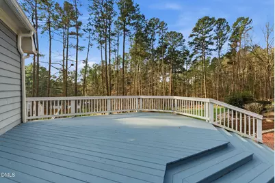 798 Horizon Drive, Pittsboro, NC 27312 - Photo 49
