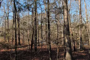 2925 Carriage Meadows Dr, Wake Forest, NC 27587 - Photo 33