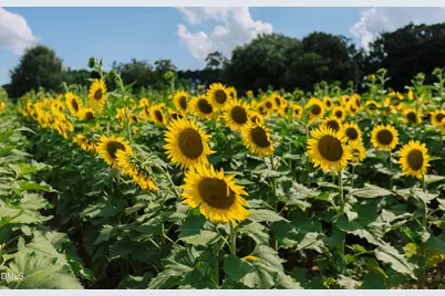 320 S Tarboro Street, Raleigh, NC 27610 - Photo 41