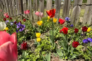 3645 Old Fairground Rd, Angier, NC 27501 - Photo 47