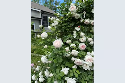 3645 Old Fairground Road, Angier, NC 27501 - Photo 43