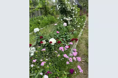 3645 Old Fairground Road, Angier, NC 27501 - Photo 45