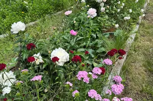 3645 Old Fairground Rd, Angier, NC 27501 - Photo 45