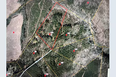 175 Tillery Drive, Louisburg, NC 27549 - Photo 13