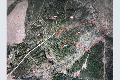 160 Tillery Drive, Louisburg, NC 27549 - Photo 11