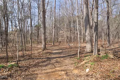 4739 Wild Azalea Place, Rougemont, NC 27572 - Photo 41