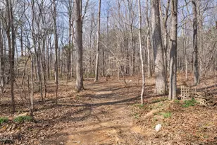 4739 Wild Azalea Pl, Rougemont, NC 27572 - Photo 33