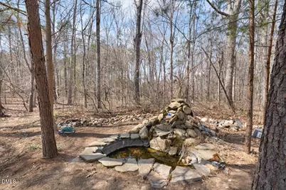 4739 Wild Azalea Place, Rougemont, NC 27572 - Photo 27