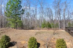 676 Tobacco Farm Way, Chapel Hill, NC 27516 - Photo 39