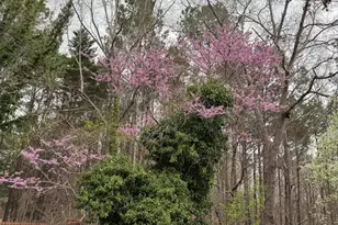 2100 Neuse Colony Dr, Clayton, NC 27527 - Photo 37