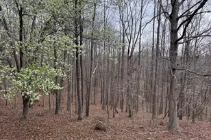 2100 Neuse Colony Dr, Clayton, NC 27527 - Photo 35