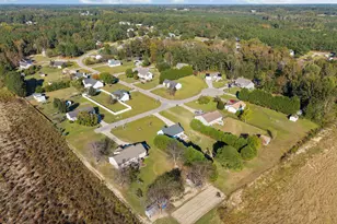 262 River Birch Run, Coats, NC 27521 - Photo 49