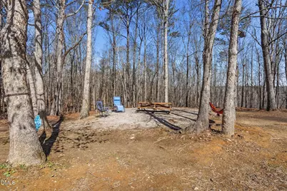 90 Spring Leaf Lane, Wendell, NC 27591 - Photo 33