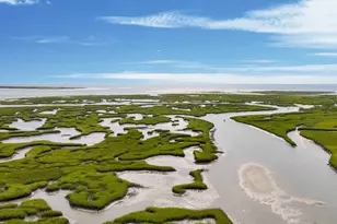 265 Shoal Ave, Hampstead, NC 28443 - Photo 47