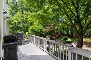 81502 Alexander, Chapel Hill, NC 27517 - Photo 33