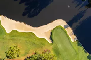 81502 Alexander, Chapel Hill, NC 27517 - Photo 43