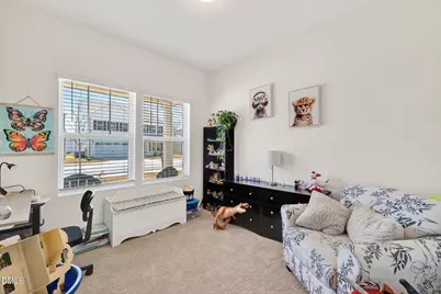 256 Horseshoe Place, Angier, NC 27501 - Photo 47