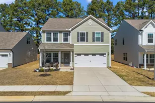 256 Horseshoe Pl, Angier, NC 27501 - Photo 57