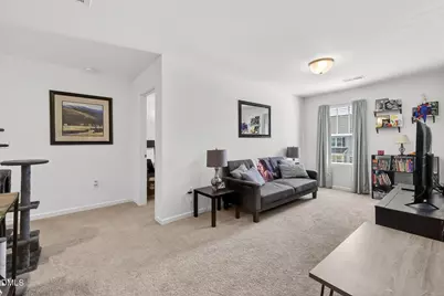 256 Horseshoe Place, Angier, NC 27501 - Photo 39