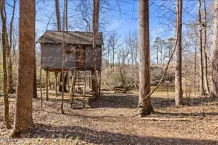 4699 Dorsey Rd, Oxford, NC 27565 - Photo 25