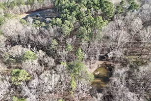 4699 Dorsey Rd, Oxford, NC 27565 - Photo 27