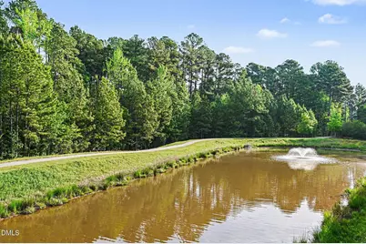 107 Culp Hill Drive, Chapel Hill, NC 27517 - Photo 15