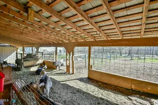 144 Celebrity Dairy Way, Siler City, NC 27344 - Photo 65